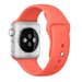 Curea iUni compatibila cu Apple Watch 1/2/3/4/5/6/7, 40mm, Silicon, Red
